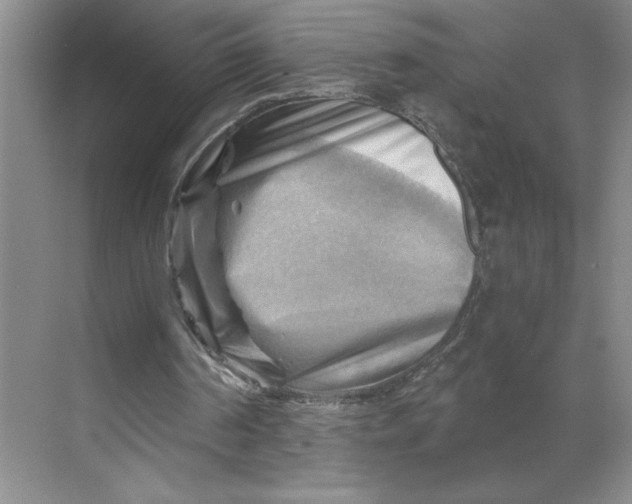 X0000068820194200605191842