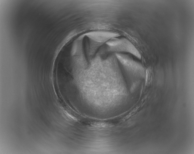 X0000068820195200605191842