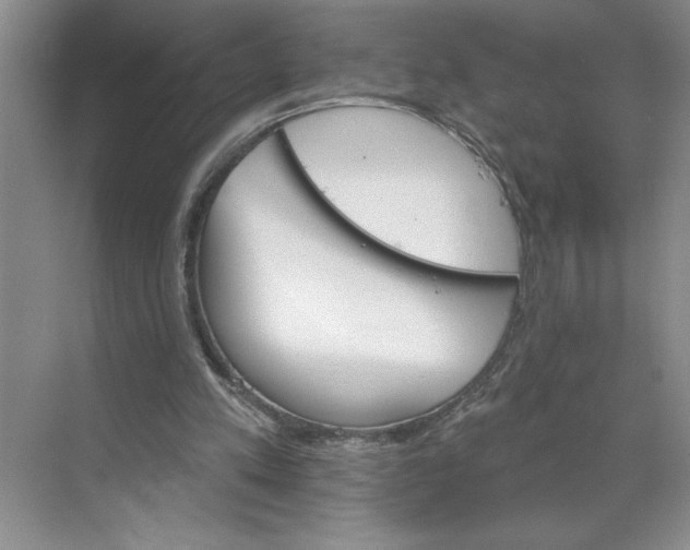 X0000068820197200605191842