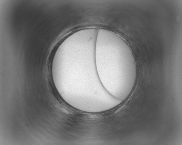 X0000068820198200605191842