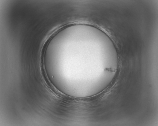 X0000068820199200605191842