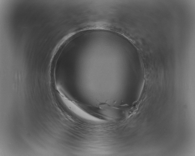 X0000068820200200605191842