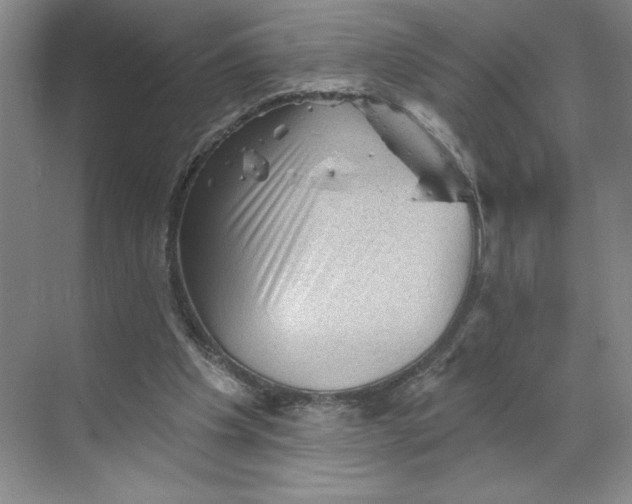 X0000068820201200605191842