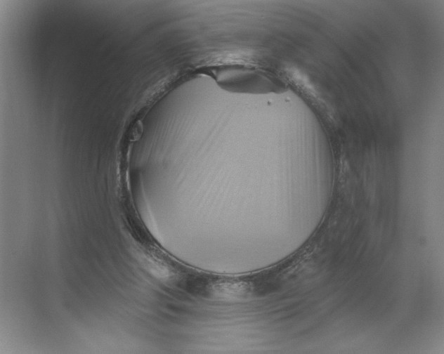 X0000068820202200605191842