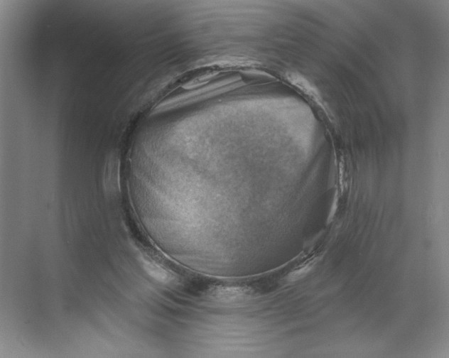 X0000068820205200605191842