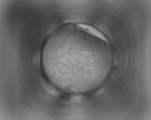 X0000068820206200605191842