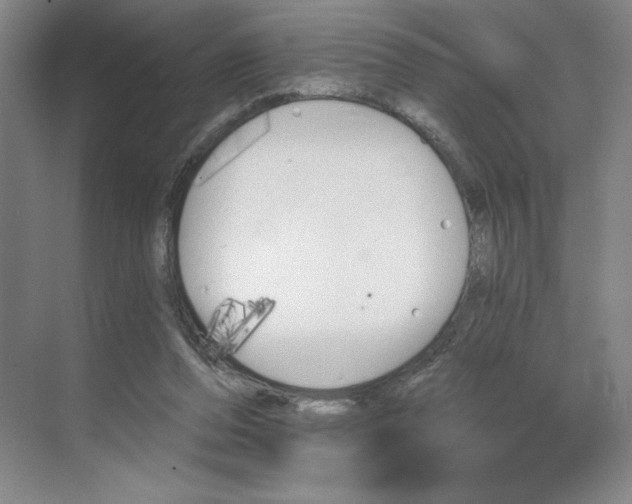 X0000068820208200605191842