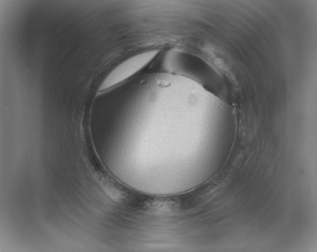 X0000068820209200605191842