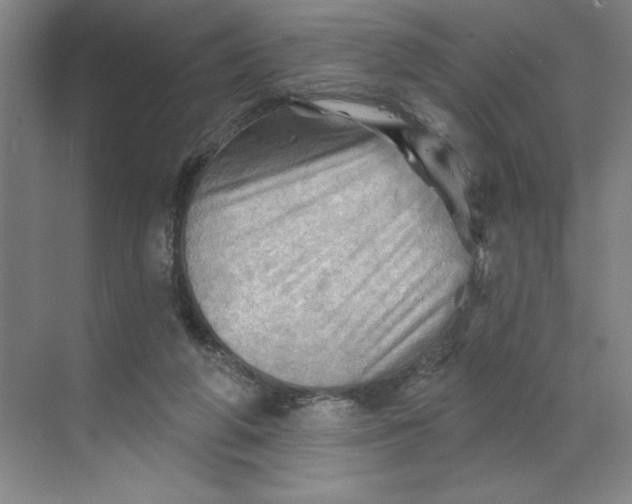 X0000068820210200605191841