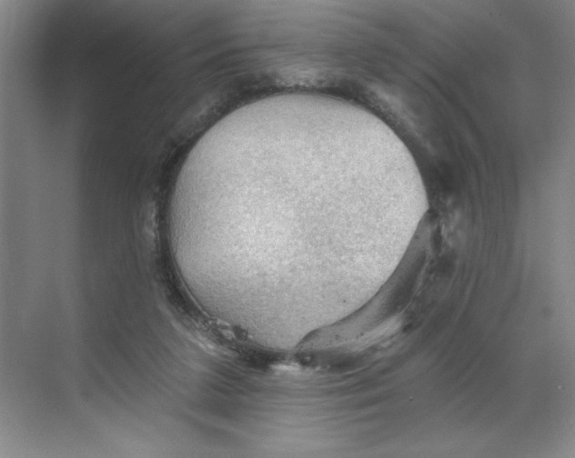 X0000068820211200605191841