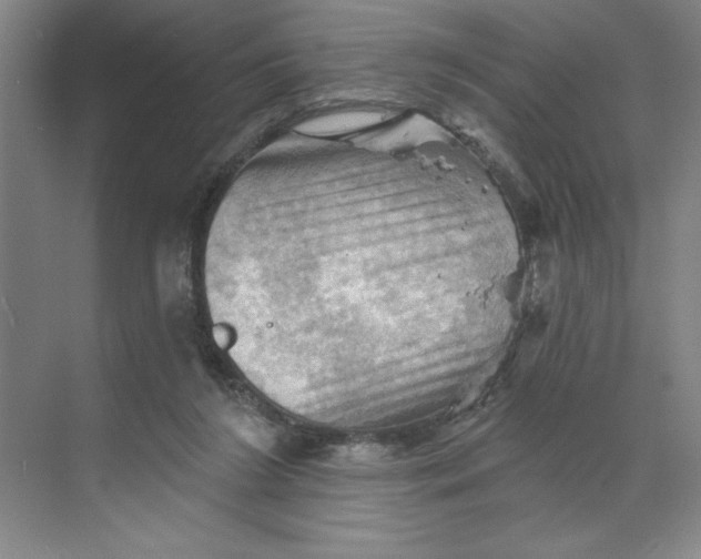 X0000068820212200605191841