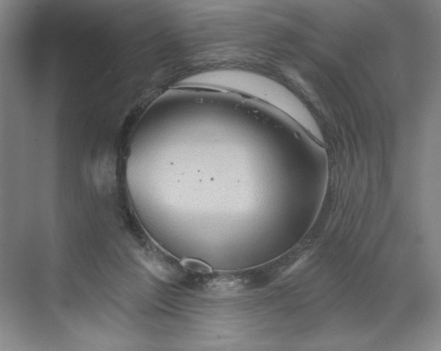 X0000068820213200605191841