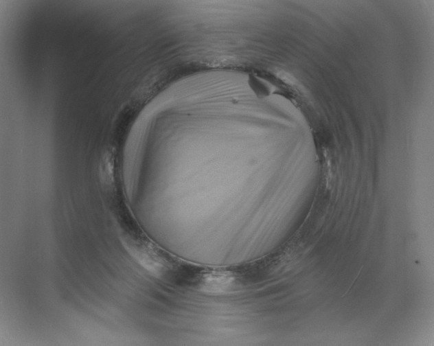 X0000068820214200605191841