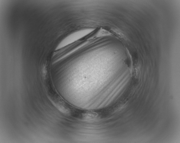 X0000068820215200605191841