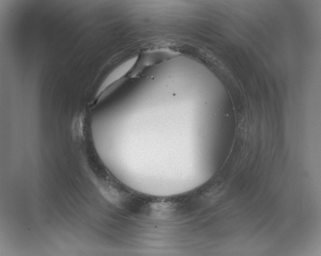 X0000068820216200605191841