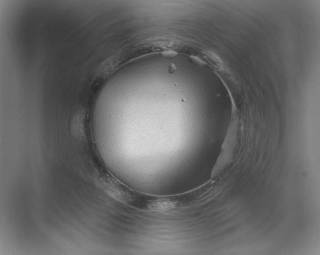 X0000068820217200605191841