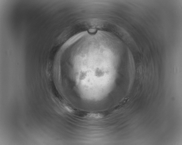 X0000068820218200605191841