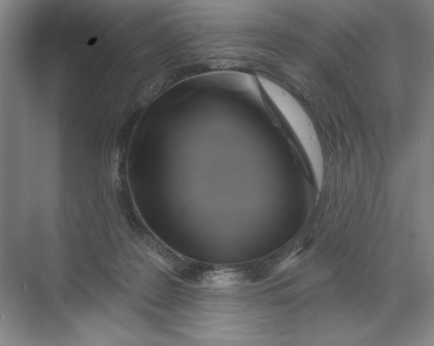 X0000068820219200605191841