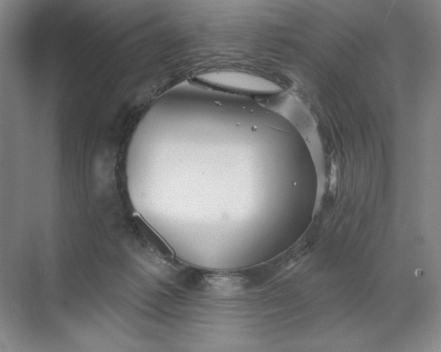 X0000068820221200605191841