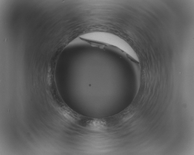 X0000068820223200605191841