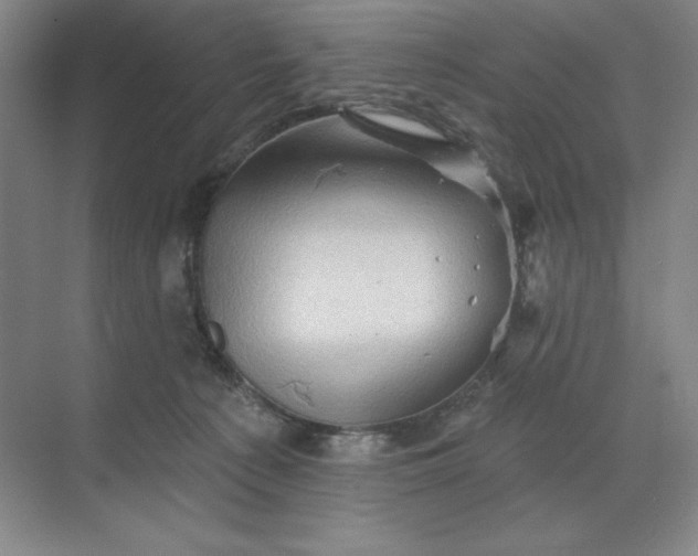 X0000068820225200605191841