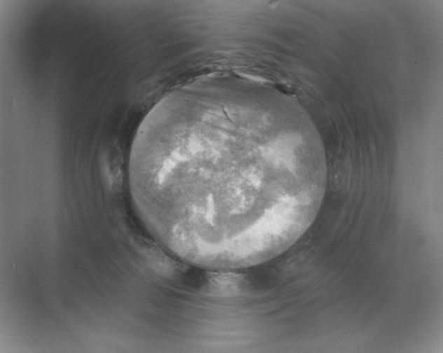 X0000068820226200605191841