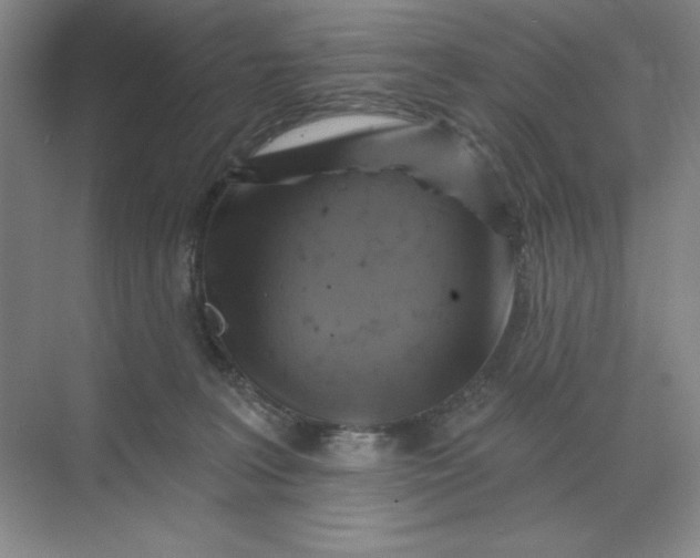 X0000068820227200605191841