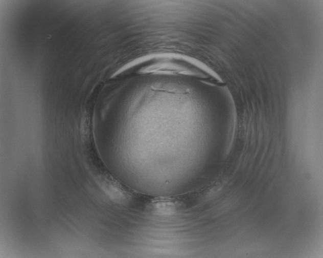 X0000068820228200605191841