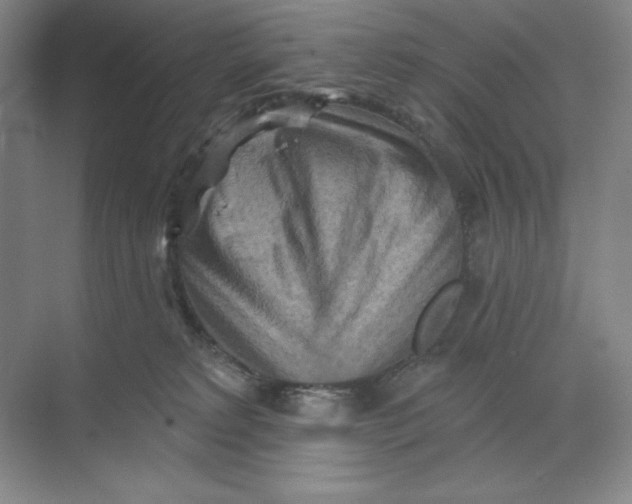 X0000068820229200605191841