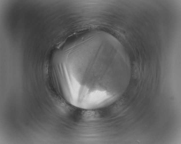 X0000068820230200605191841