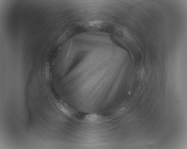 X0000068820231200605191841