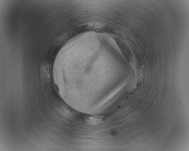 X0000068820232200605191841