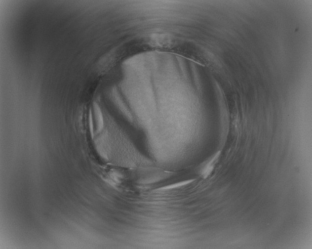 X0000068820233200605191841