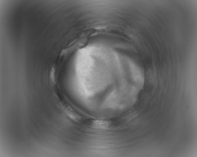 X0000068820234200605191841