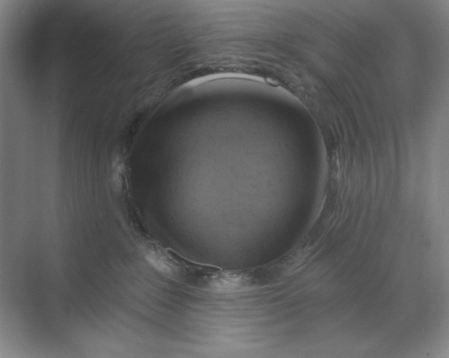 X0000068820235200605191841