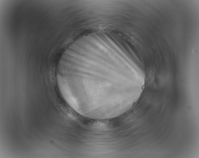 X0000068820236200605191841