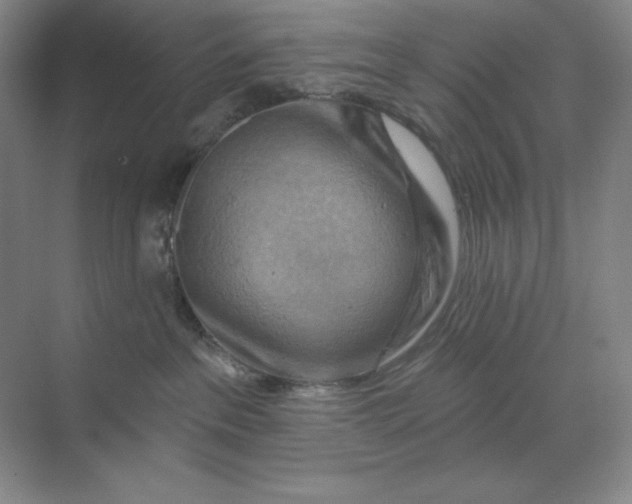 X0000068820237200605191841