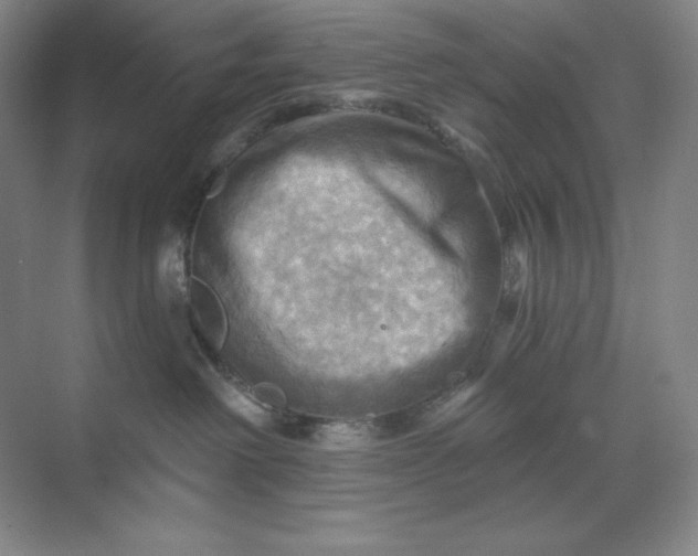 X0000068820238200605191841