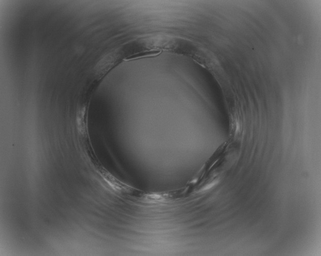 X0000068820239200605191841