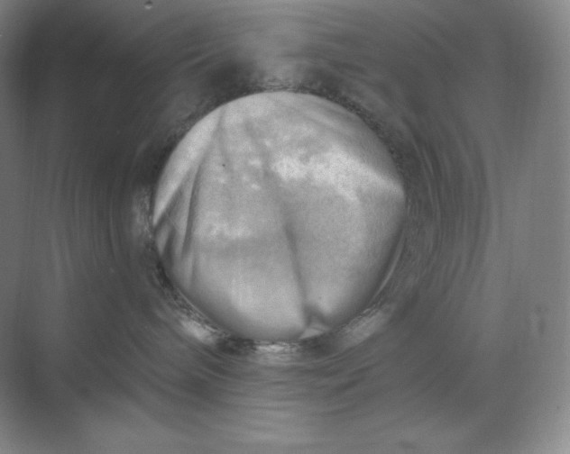 X0000068820240200605191841