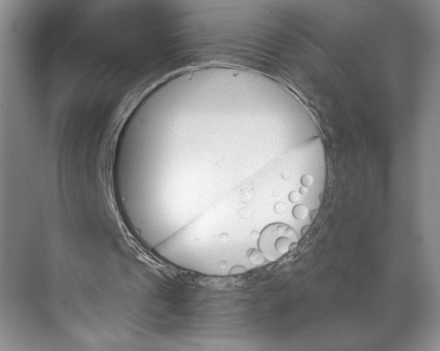 X0000068820241200605191840