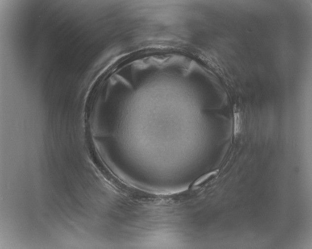 X0000068820243200605191840