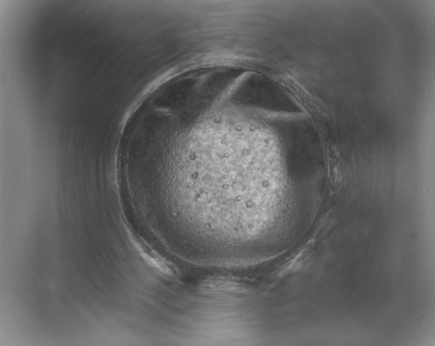 X0000068820244200605191840