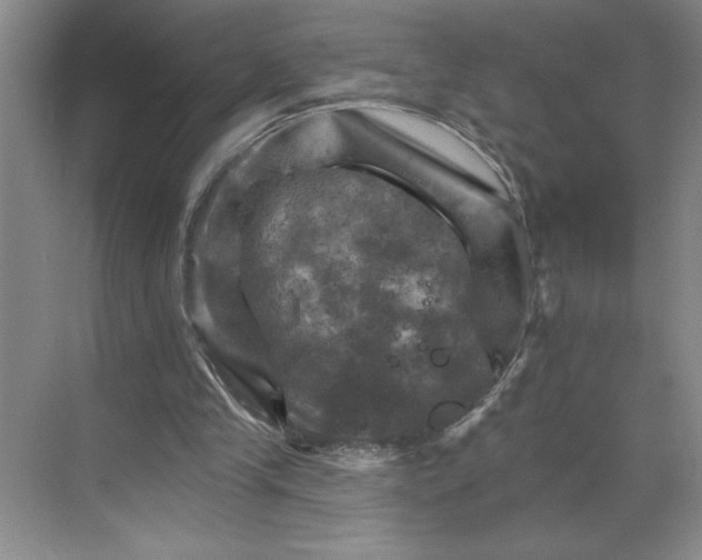 X0000068820245200605191840