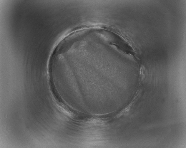 X0000068820246200605191840