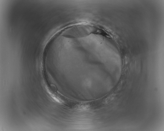 X0000068820247200605191840