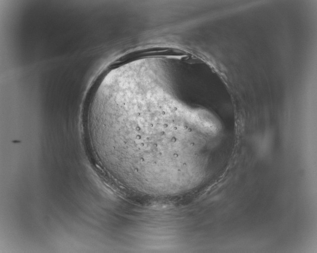 X0000068820248200605191840