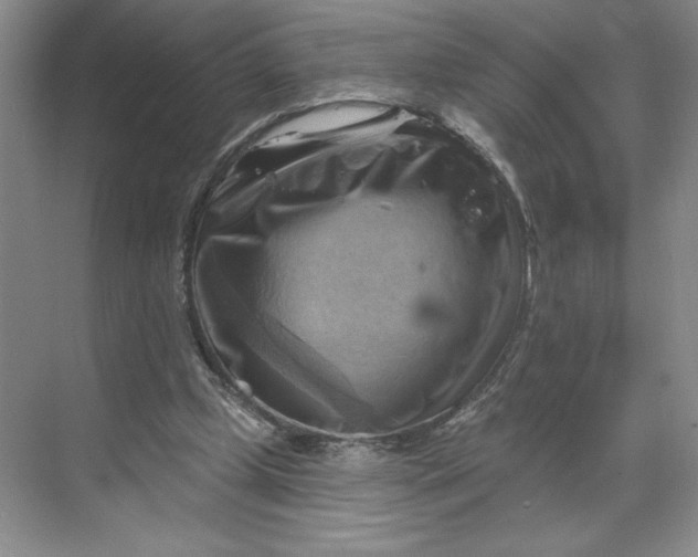 X0000068820249200605191840