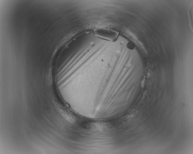 X0000068820250200605191840