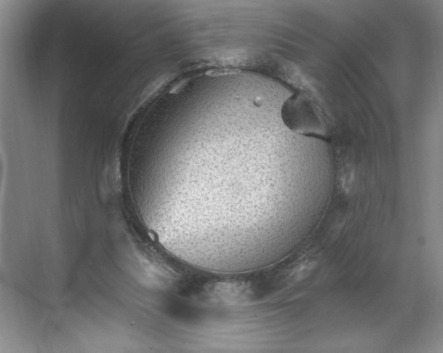 X0000068820251200605191840